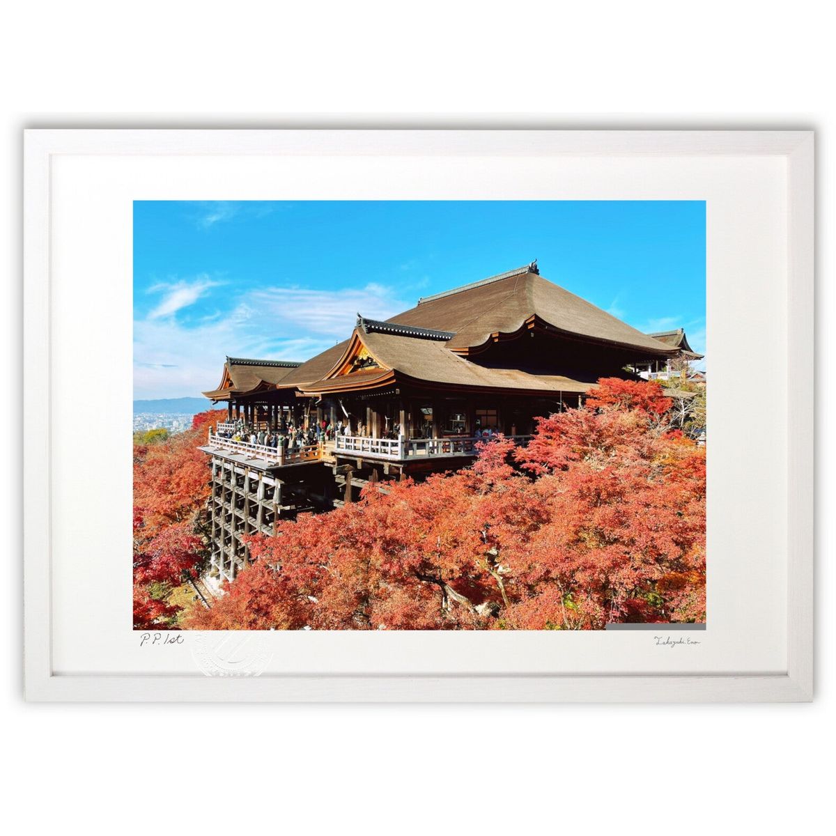 ڥѡSALEȾۡǲ դ (Ҥ)ƥꥢ ɳݤ  ʲ ݥ  ӥ ؤ˾  ץ쥼  ...