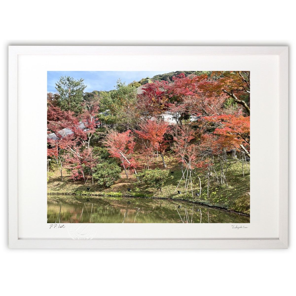 ڥѡSALEȾۡǲ ߤ (Ҥ)ƥꥢ ɳݤ  ʲ ݥ  ӥ ؤ˾  ץ쥼  ȥե...