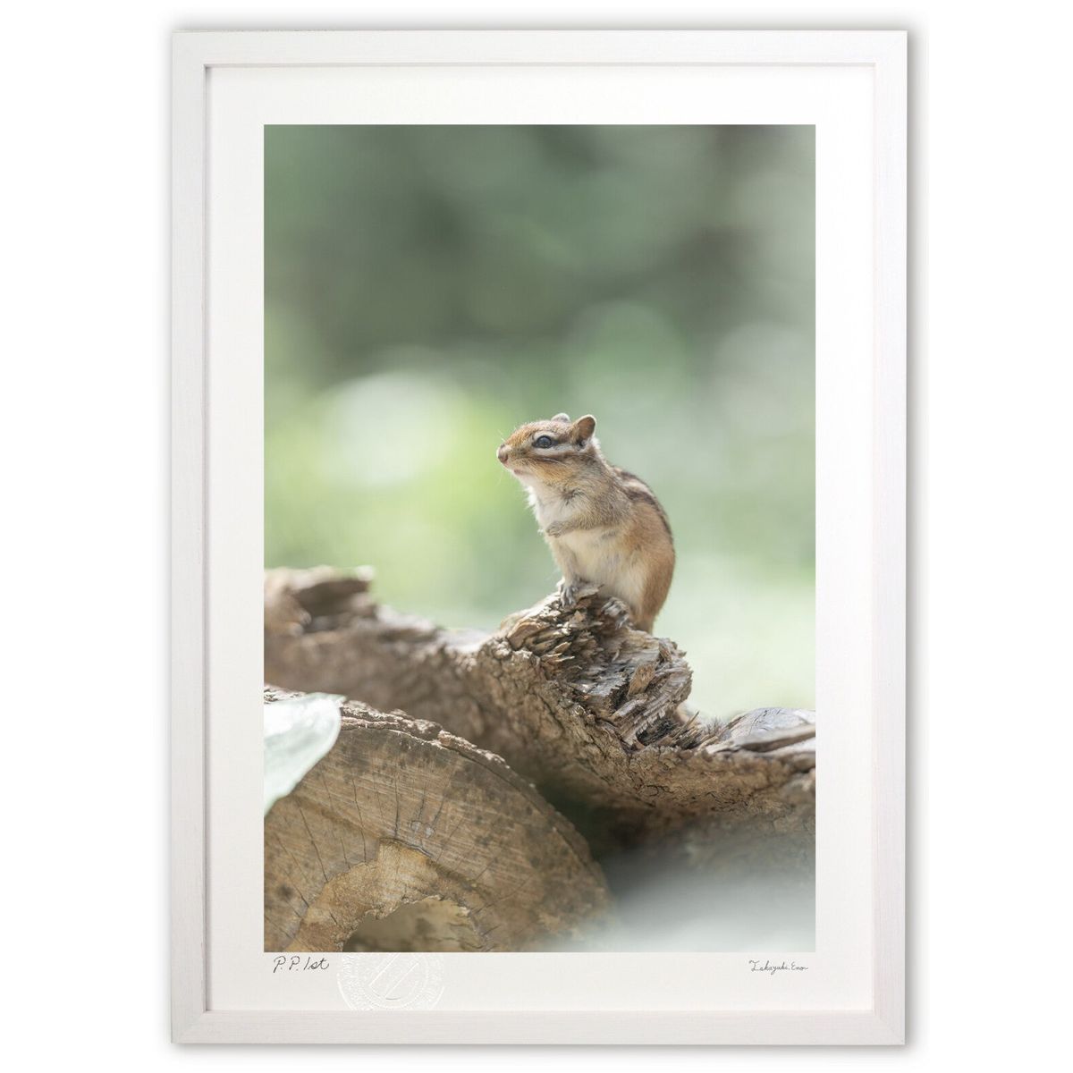 【スーパーSALE半額】版画 シマリス (岡本 圭司)インテリア 壁掛け 額入り 風景画 ポスター アート リビング 玄関に飾る 風水 プレゼント モダン アー...