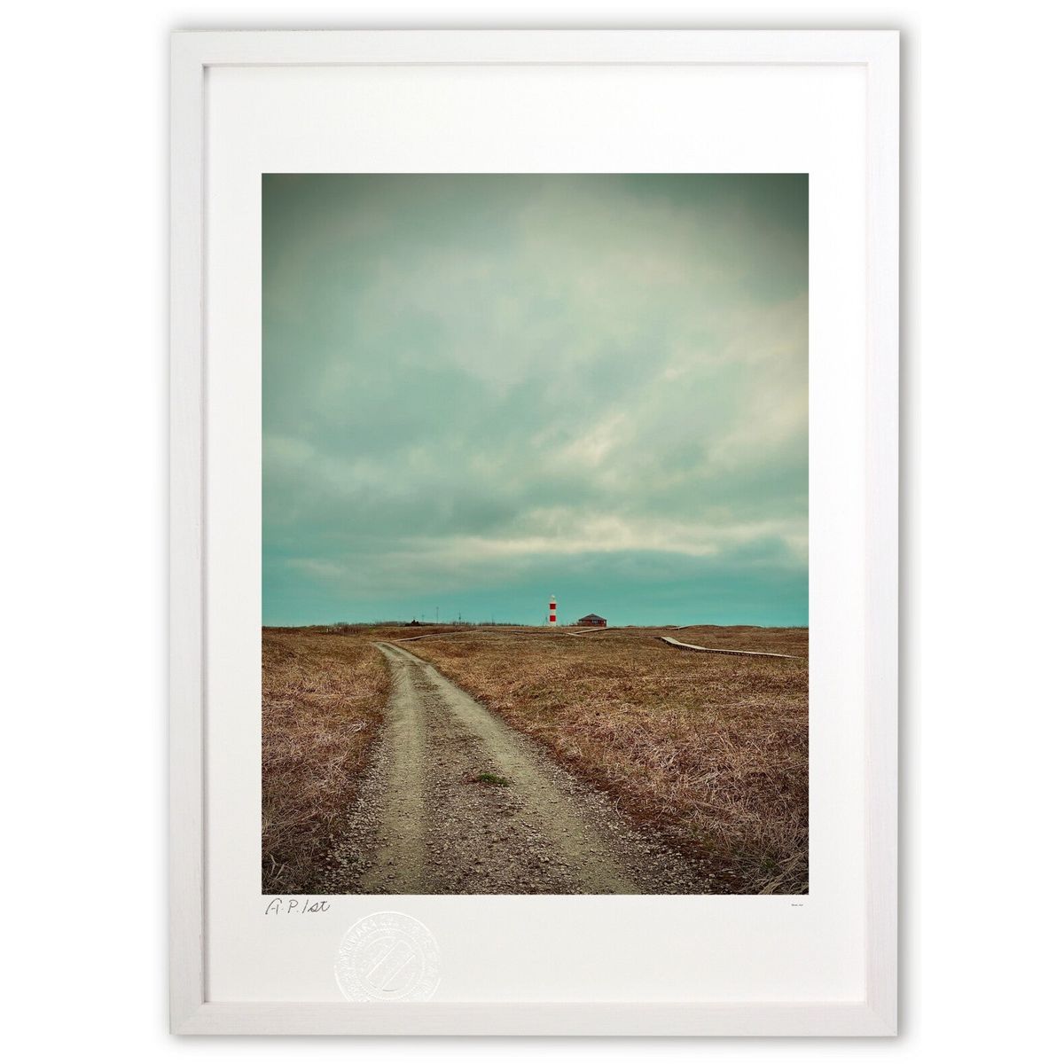 ڥѡSALEȾۡǲ ߤ (Gille1119)ƥꥢ ɳݤ  ʲ ݥ  ӥ ؤ˾  ץ쥼 ...