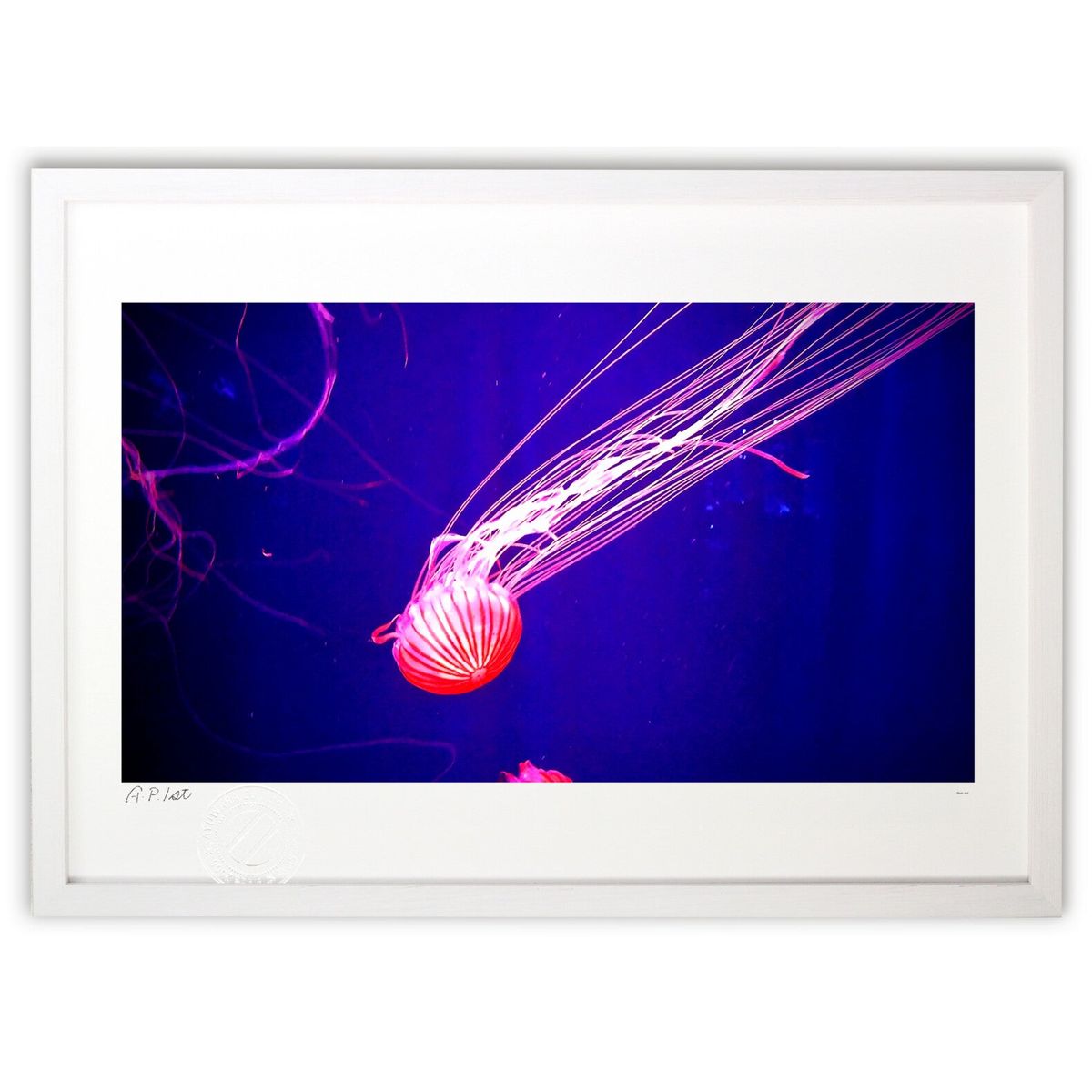 ڥѡSALEȾۡǲ 饲 (Gille1119)ƥꥢ ɳݤ  ʲ ݥ  ӥ ؤ˾  ץ쥼 ...