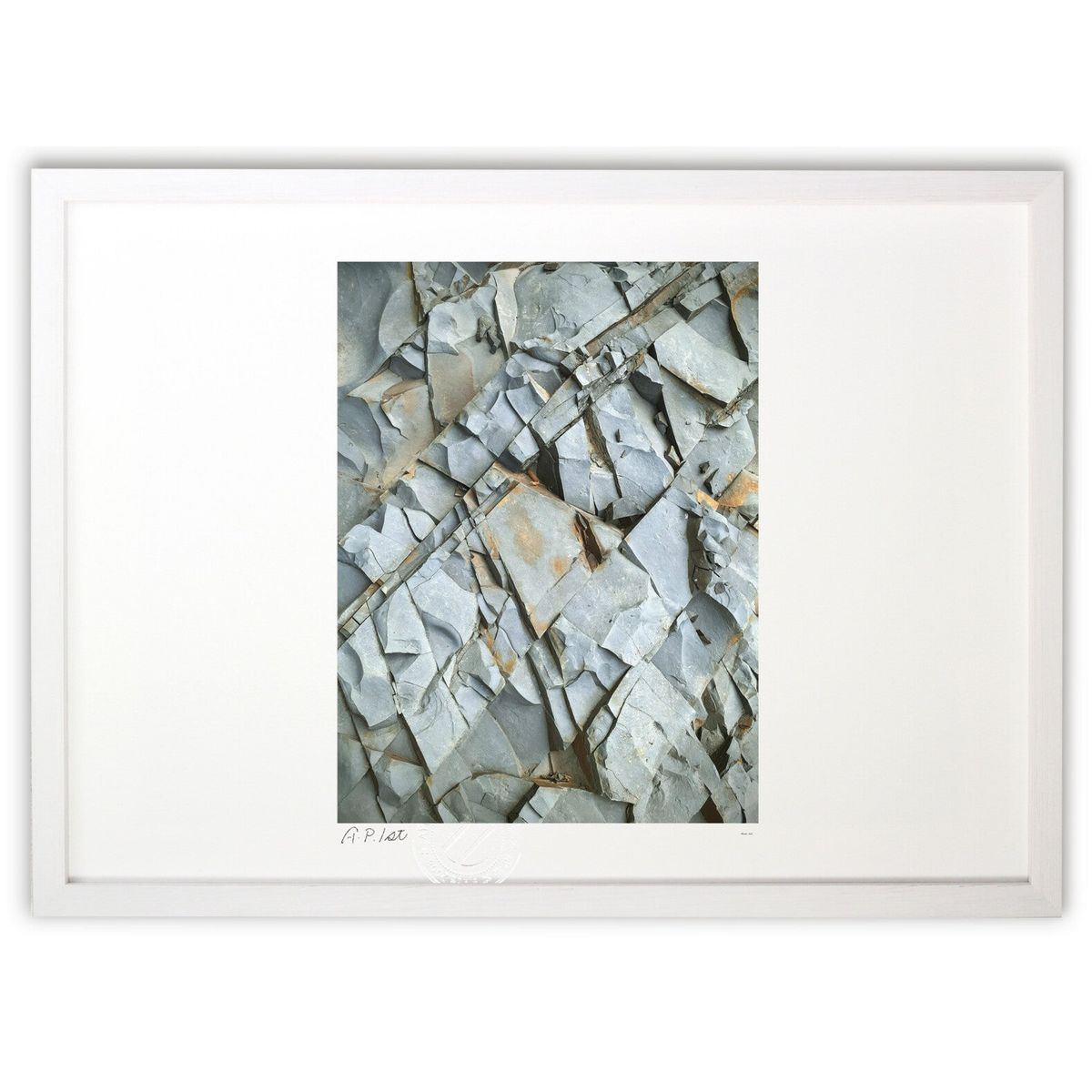 ڥѡSALEȾۡǲ  (Gille1119)ƥꥢ ɳݤ  ʲ ݥ  ӥ ؤ˾  ץ쥼 ...