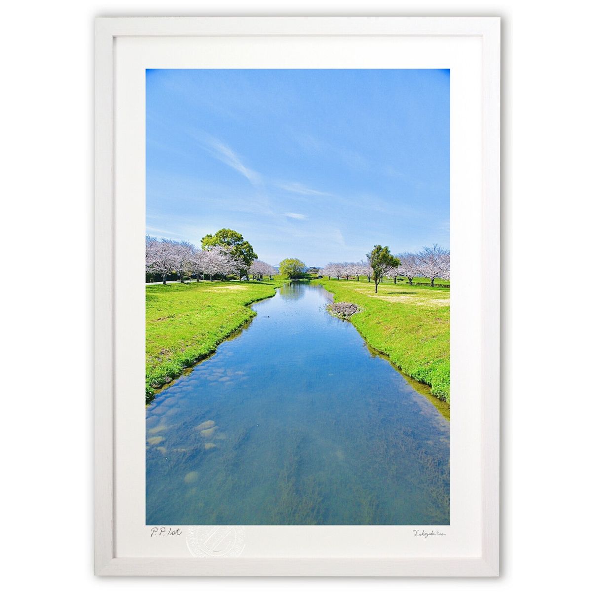 ڥѡSALEȾۡǲ ξ (mitan)ƥꥢ ɳݤ  ʲ ݥ  ӥ ؤ˾  ץ쥼  ...