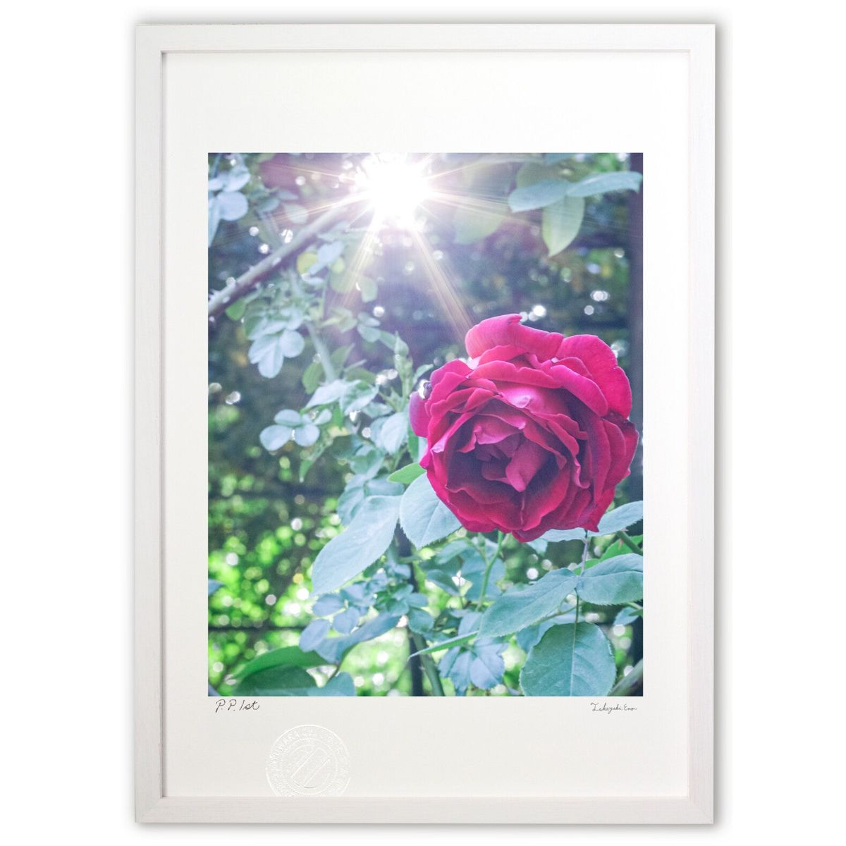 ڥѡSALEȾۡǲ Ǯ (crazetaka)ƥꥢ ɳݤ  ʲ ݥ  ӥ ؤ˾  ץ쥼 ...