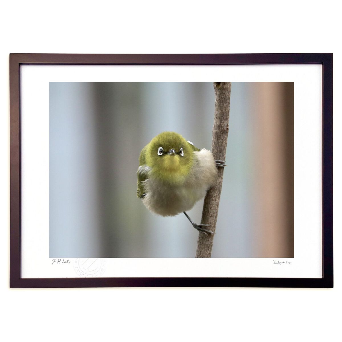 ڥѡSALEȾۡǲ 襤᥸ (ͷ)ƥꥢ ɳݤ  ʲ ݥ  ӥ ؤ˾  ץ쥼  ...