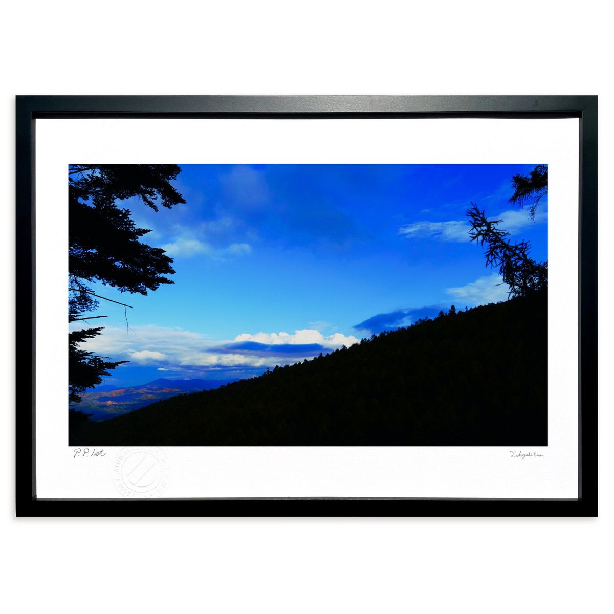 ڥѡSALEȾۡǲ ήơĶ ()ƥꥢ ɳݤ  ʲ ݥ  ӥ ؤ˾  ץ쥼...