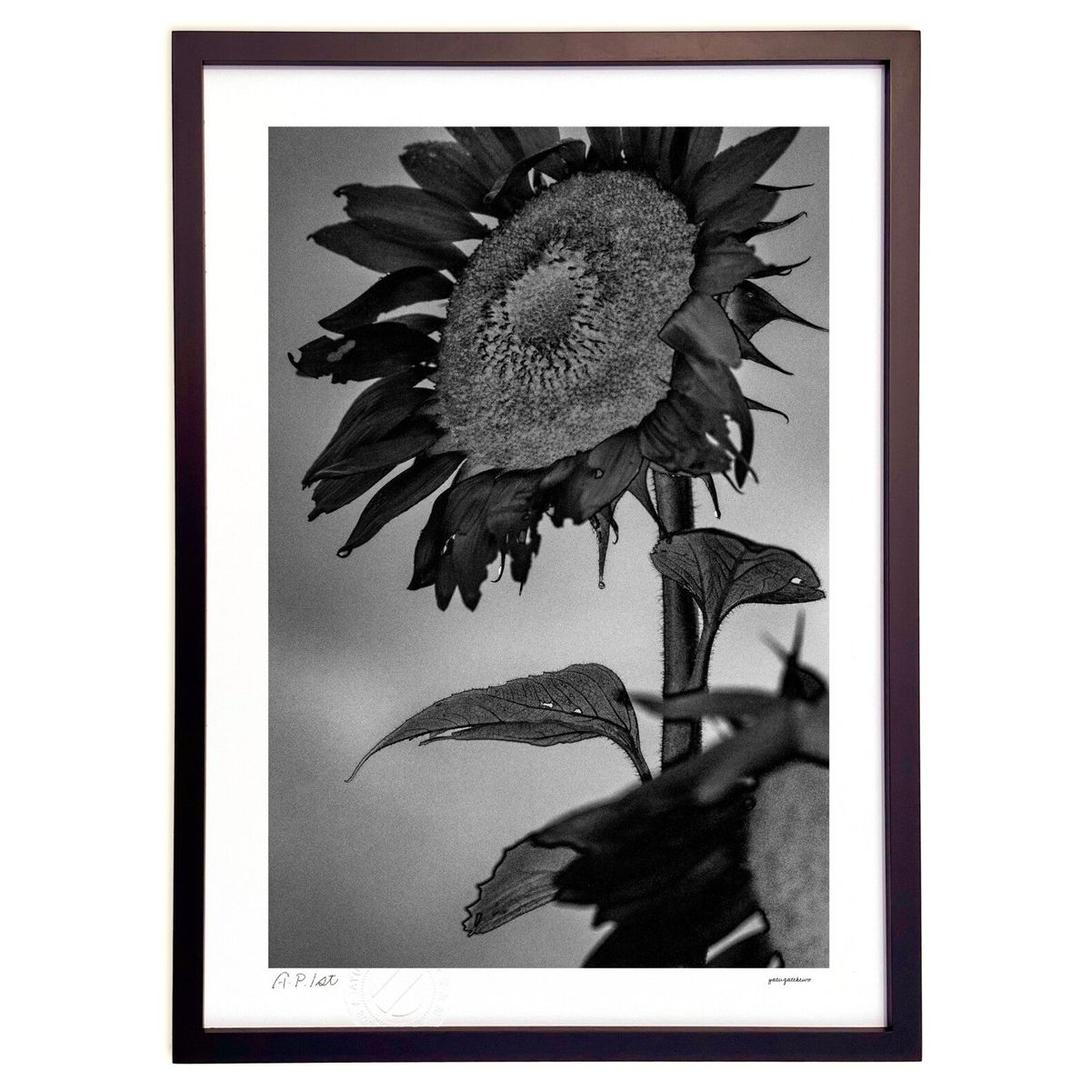 【スーパーSALE半額】版画 露が落ちる (奴が岳魚)インテリア 壁掛け 額入り 風景画 ポスター アート リビング 玄関に飾る 風水 プレゼント モダン アー...