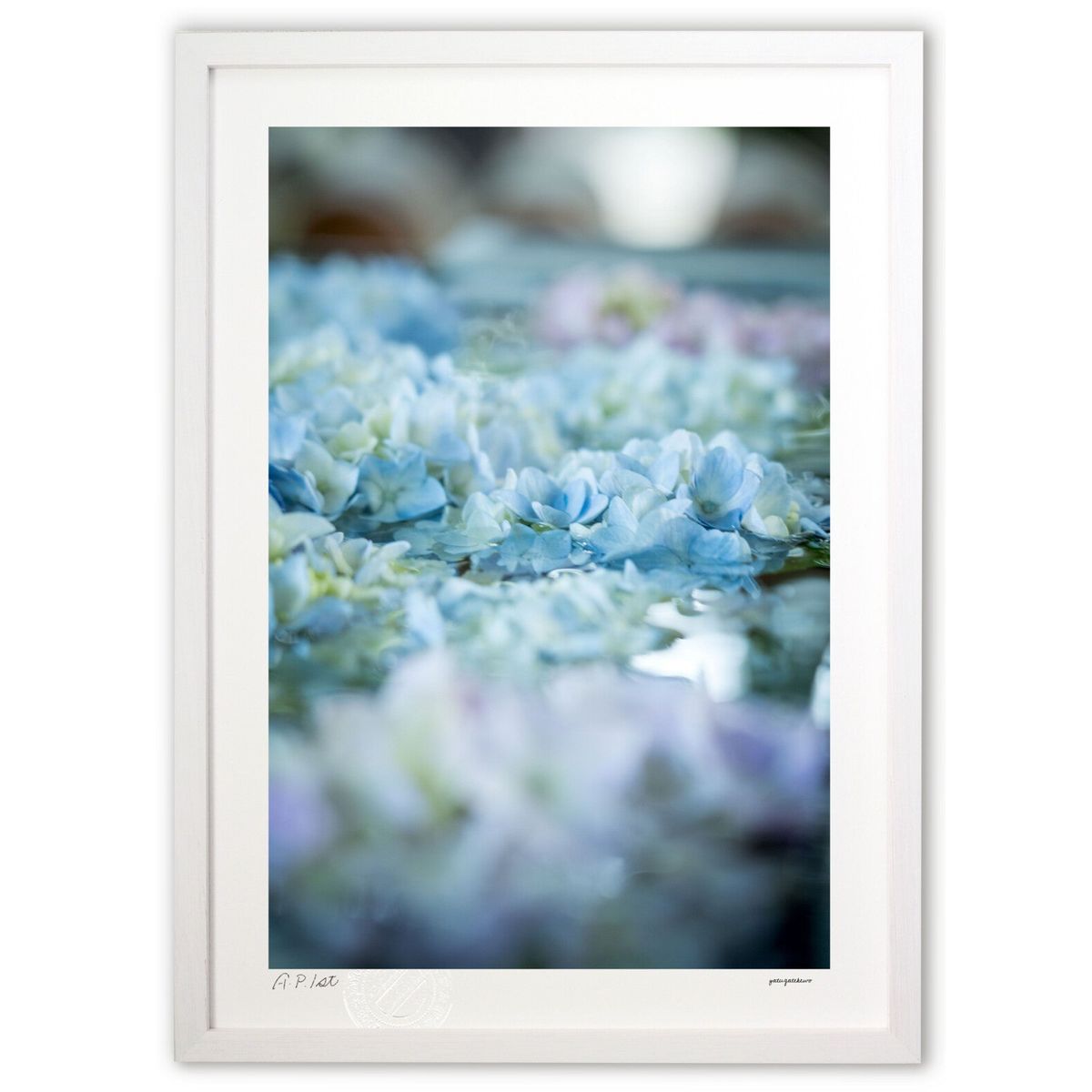 ڥѡSALEȾۡǲ ߱⤫ֲּ (ۤٵ)ƥꥢ ɳݤ  ʲ ݥ  ӥ ؤ˾  ץ쥼 ...