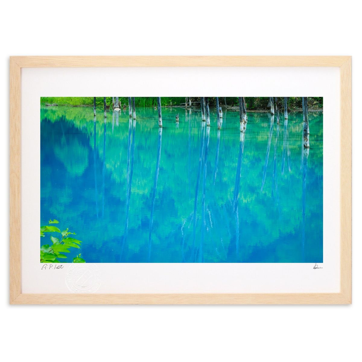 ڥѡSALEȾۡǲ Ĥ (湭)ƥꥢ ɳݤ  ʲ ݥ  ӥ ؤ˾  ץ쥼  ȥ...