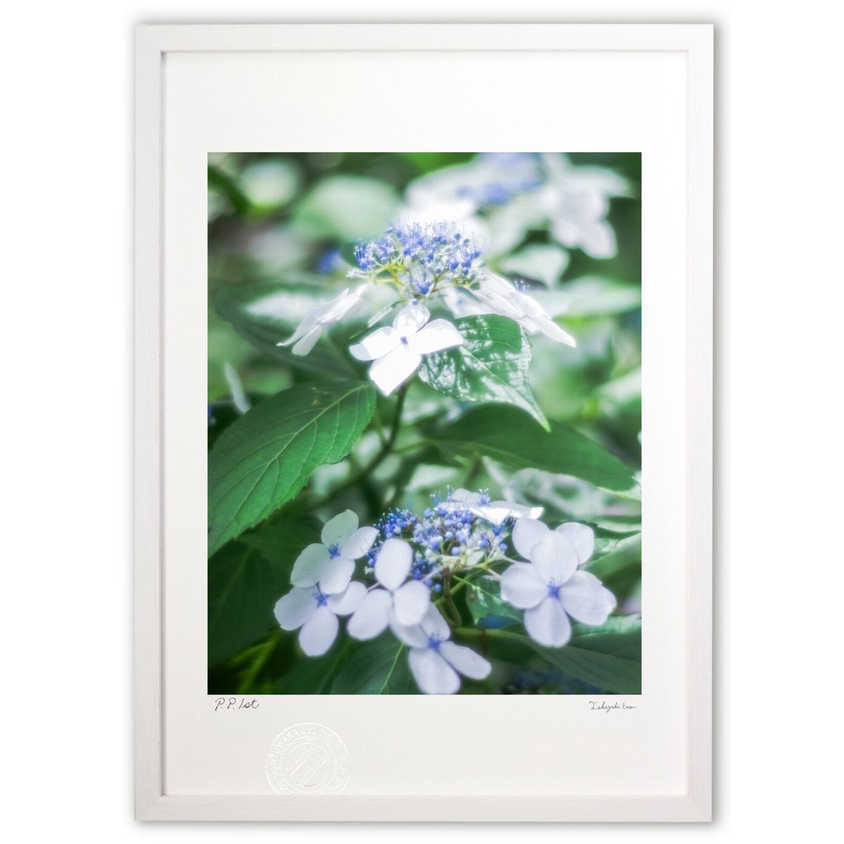 ڥѡSALEȾۡǲ äʻ۲ (crazetaka)ƥꥢ ɳݤ  ʲ ݥ  ӥ ؤ˾  ץ쥼...