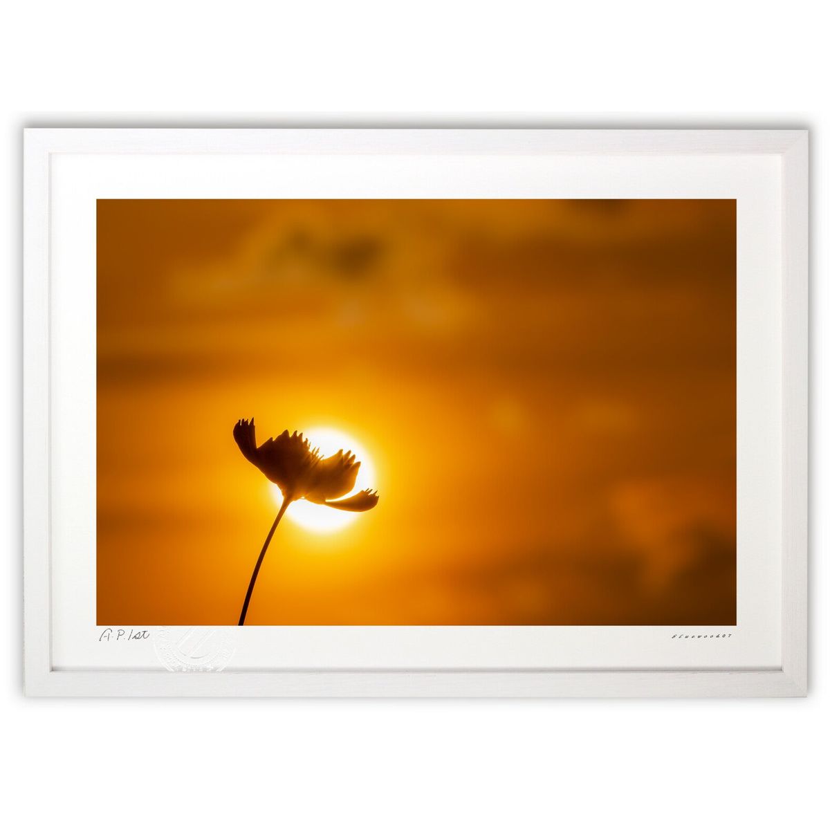 ڥѡSALEȾۡǲ ͼΥ⥹ (bluewoods07)