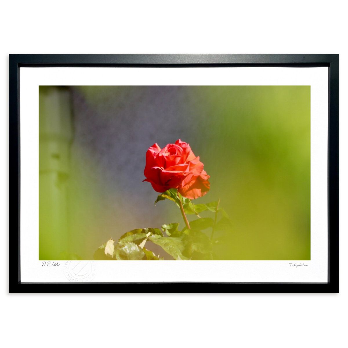 ڥѡSALEȾۡǲ ˤҤȤܤ (ͷ)ƥꥢ ɳݤ  ʲ ݥ  ӥ ؤ˾  ץ쥼  ...