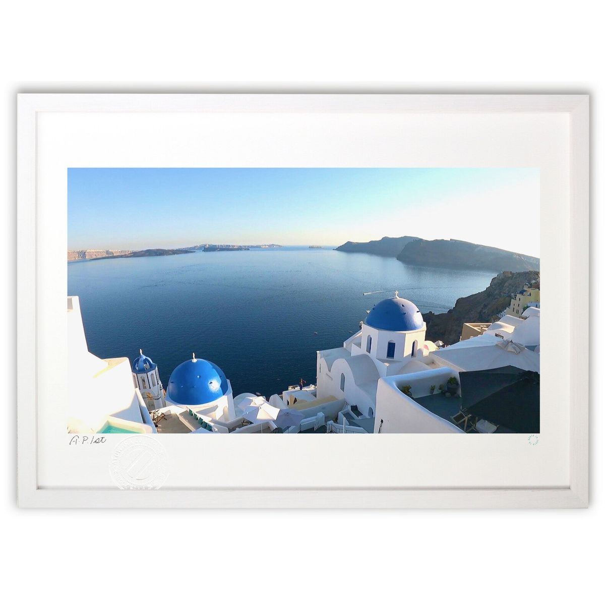 ڥѡSALEȾۡǲ ȥ꡼硡֥롼ɡ (North to South)