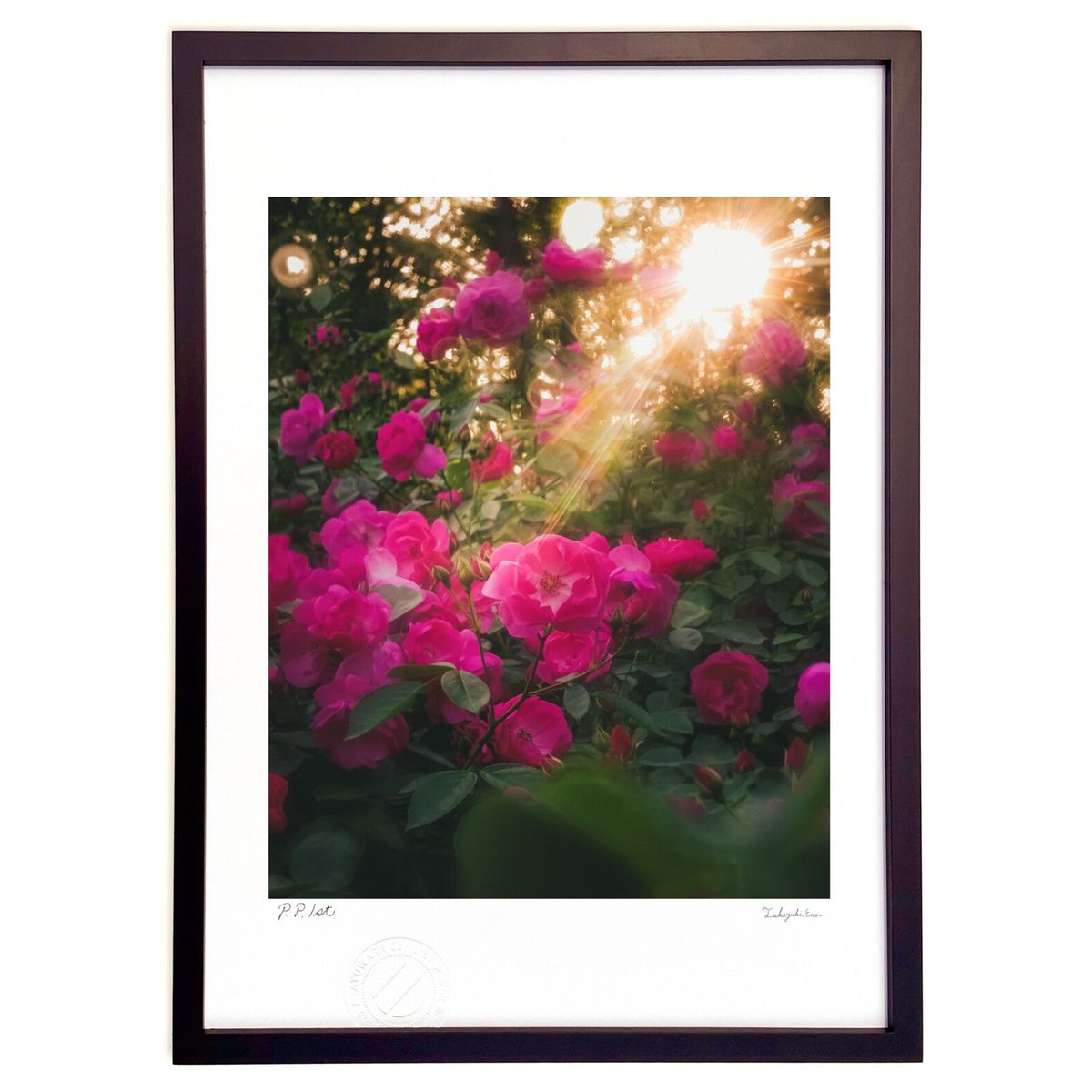 【スーパーSALE半額】版画 斜陽と薔薇 (crazetaka)インテリア 壁掛け 額入り 風景画 ポスター アート リビング 玄関に飾る 風水 プレゼント モ...