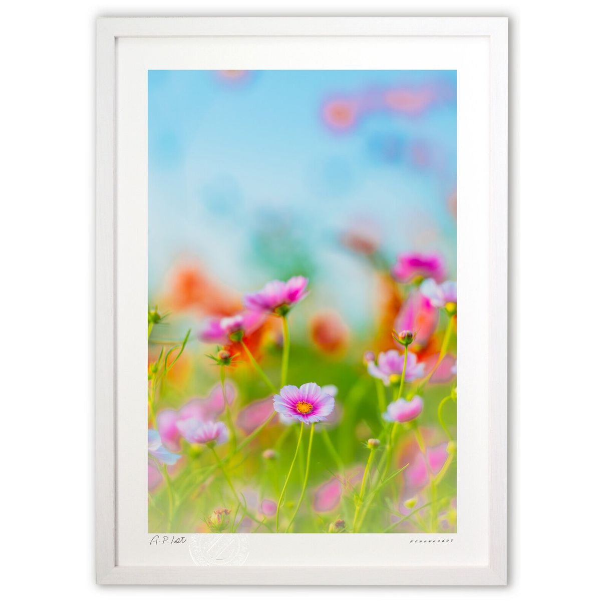 ڥѡSALEȾۡǲ Ūʽ (bluewoods07)ƥꥢ ɳݤ  ʲ ݥ  ӥ ؤ˾  ץ쥼...