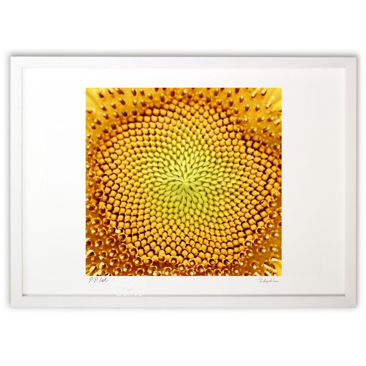 ڥѡSALEȾۡǲ Ҥޤ (ͷ)ƥꥢ ɳݤ  ʲ ݥ  ӥ ؤ˾  ץ쥼  ȥե...