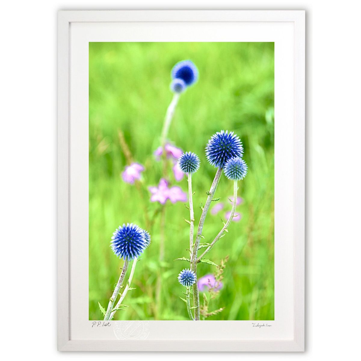 【スーパーSALE半額】版画 ヒゴタイ (mitan)インテリア 壁掛け 額入り 風景画 ポスター アート リビング 玄関に飾る 風水 プレゼント モダン アー...