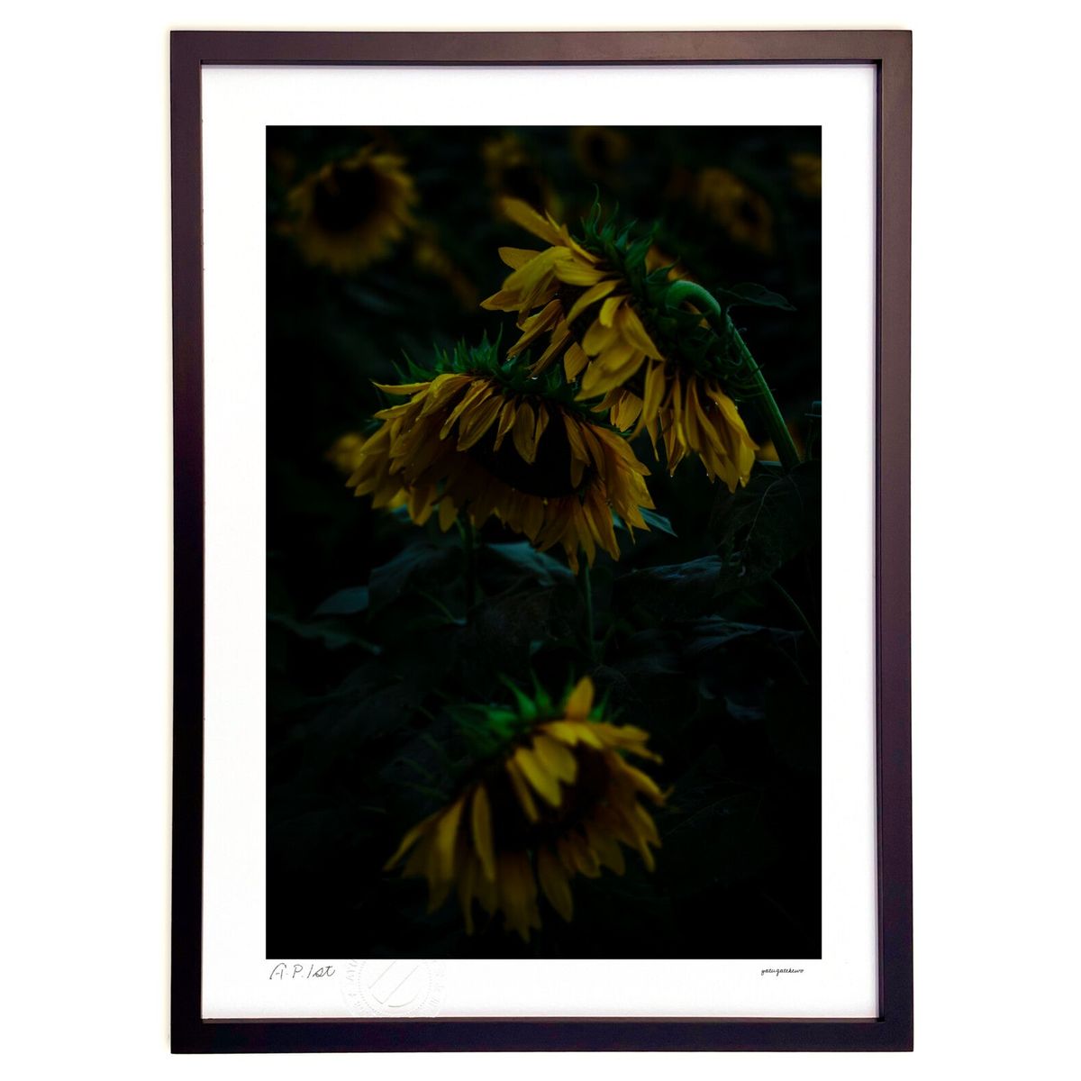 ڥѡSALEȾۡǲ 夬ΤҤޤȪ (ۤٵ)ƥꥢ ɳݤ  ʲ ݥ  ӥ ؤ˾  ץ쥼 ...