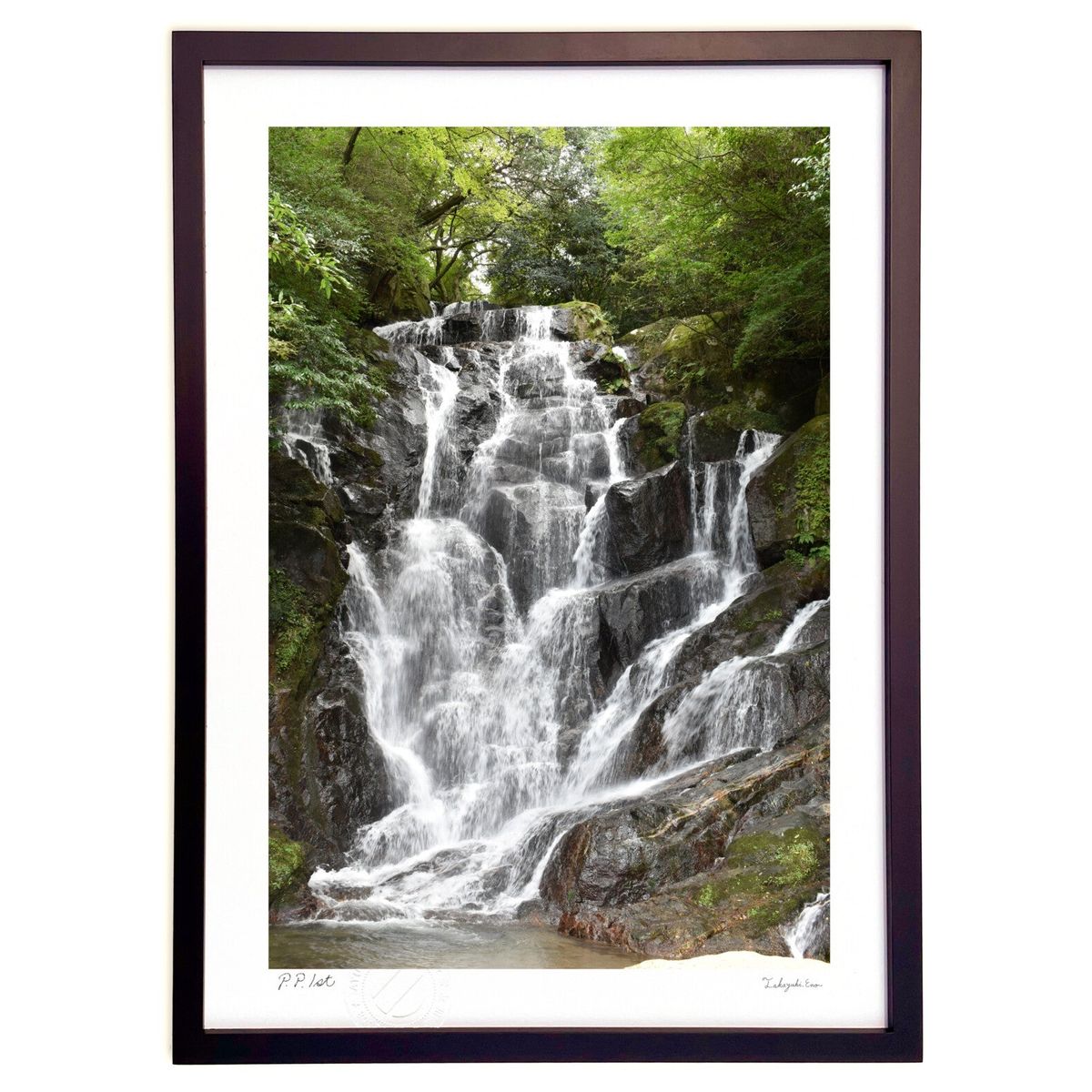 ڥѡSALEȾۡǲ ̿ʡ (޻)ƥꥢ ɳݤ  ʲ ݥ  ӥ ؤ˾  ץ쥼 ...