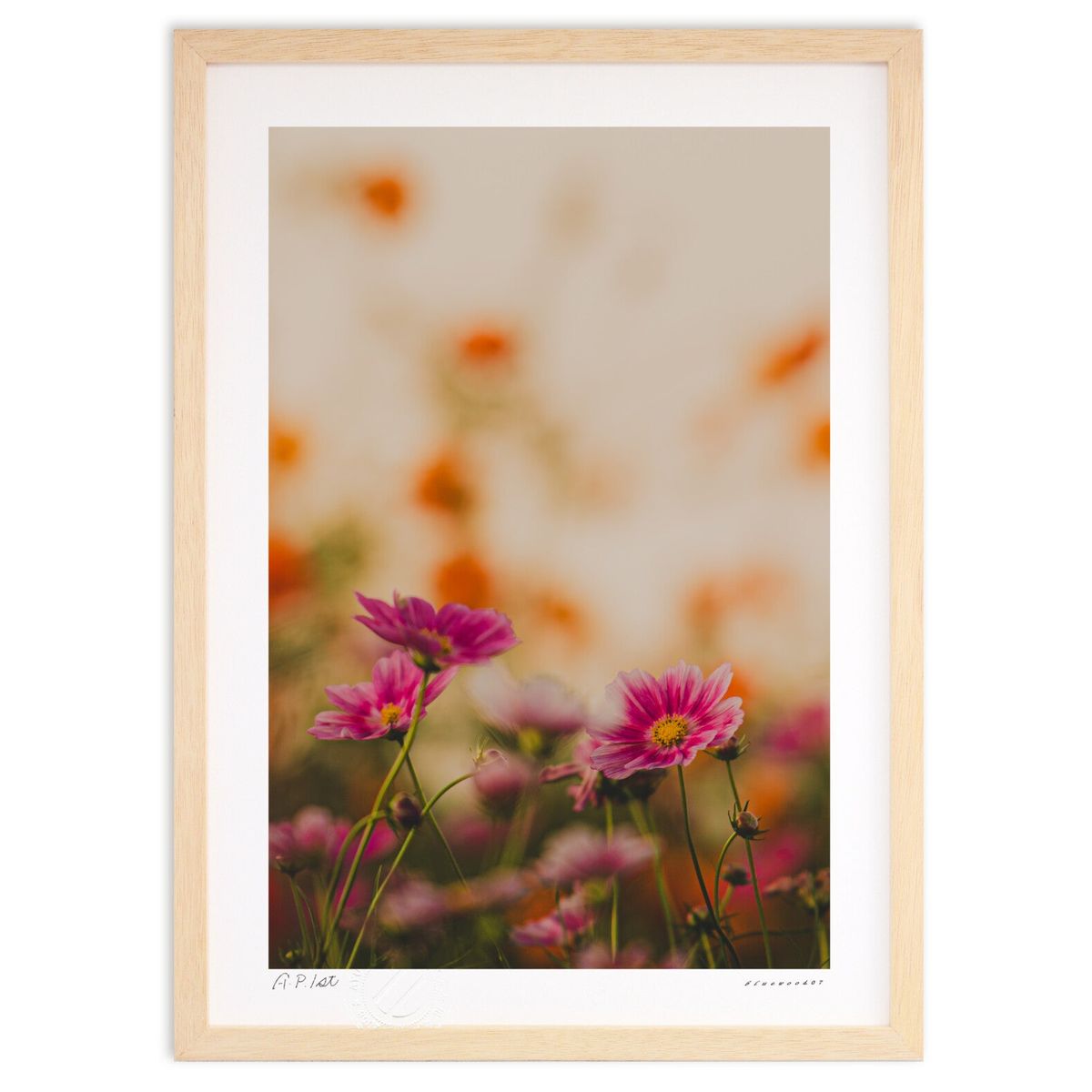 ڥѡSALEȾۡǲ Υ른å⥹ (bluewoods07)