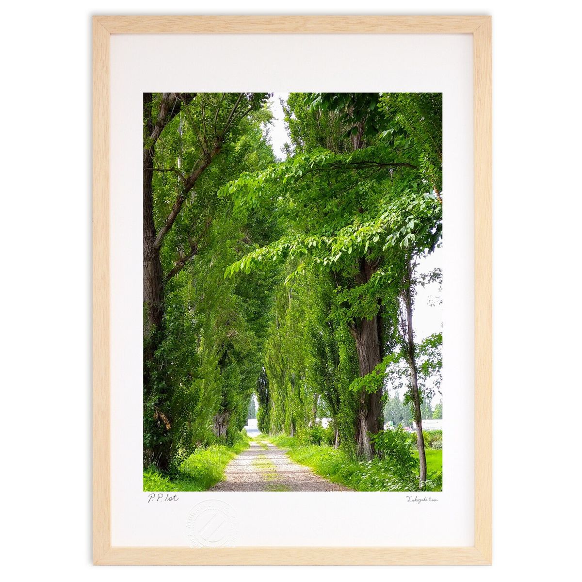 ڥѡSALEȾۡǲ Фͷƻ (ΡХ˥)ƥꥢ ɳݤ  ʲ ݥ  ӥ ؤ˾  ץ쥼 ...