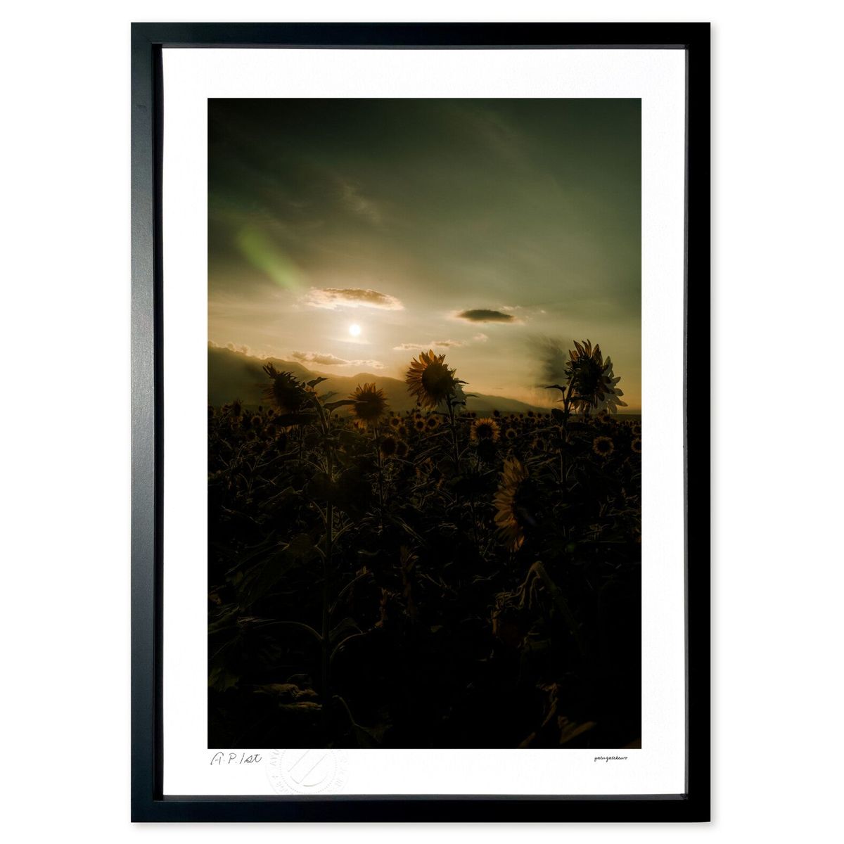 ڥѡSALEȾۡǲ ͼ (ۤٵ)ƥꥢ ɳݤ  ʲ ݥ  ӥ ؤ˾  ץ쥼  ...