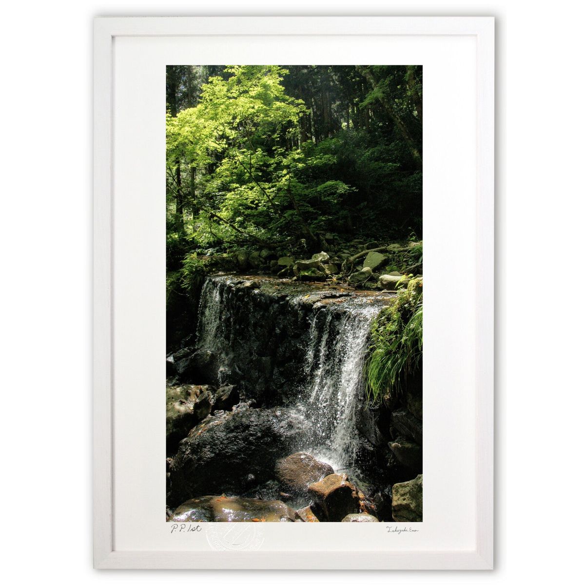 ڥѡSALEȾۡǲ ή (Agura)ƥꥢ ɳݤ  ʲ ݥ  ӥ ؤ˾  ץ쥼  ...