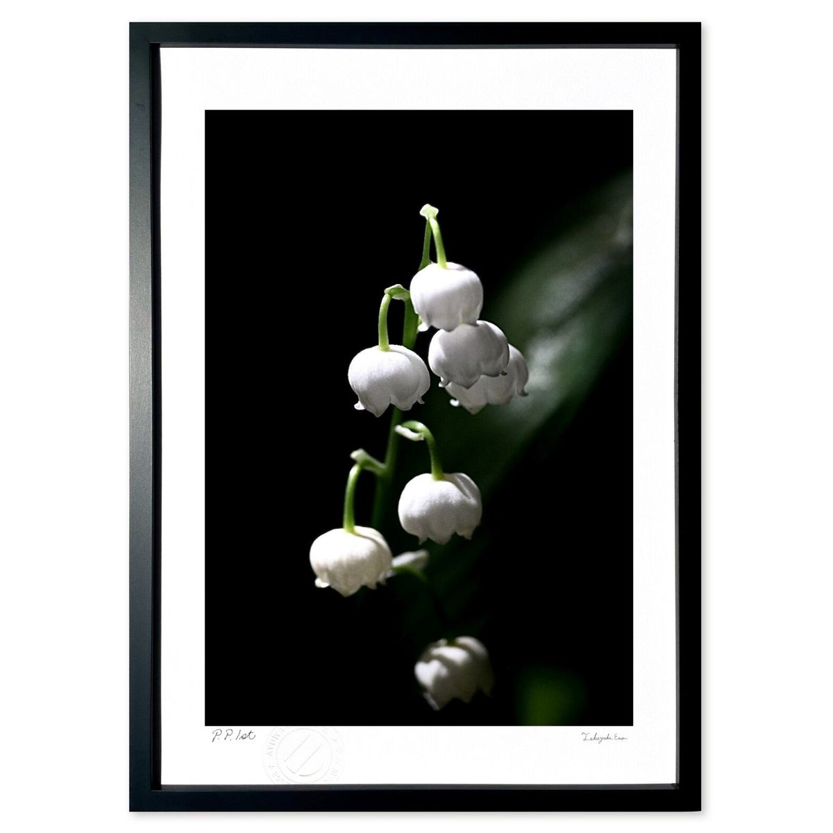 ڥѡSALEȾۡǲ  (ͷ)ƥꥢ ɳݤ  ʲ ݥ  ӥ ؤ˾  ץ쥼  ...