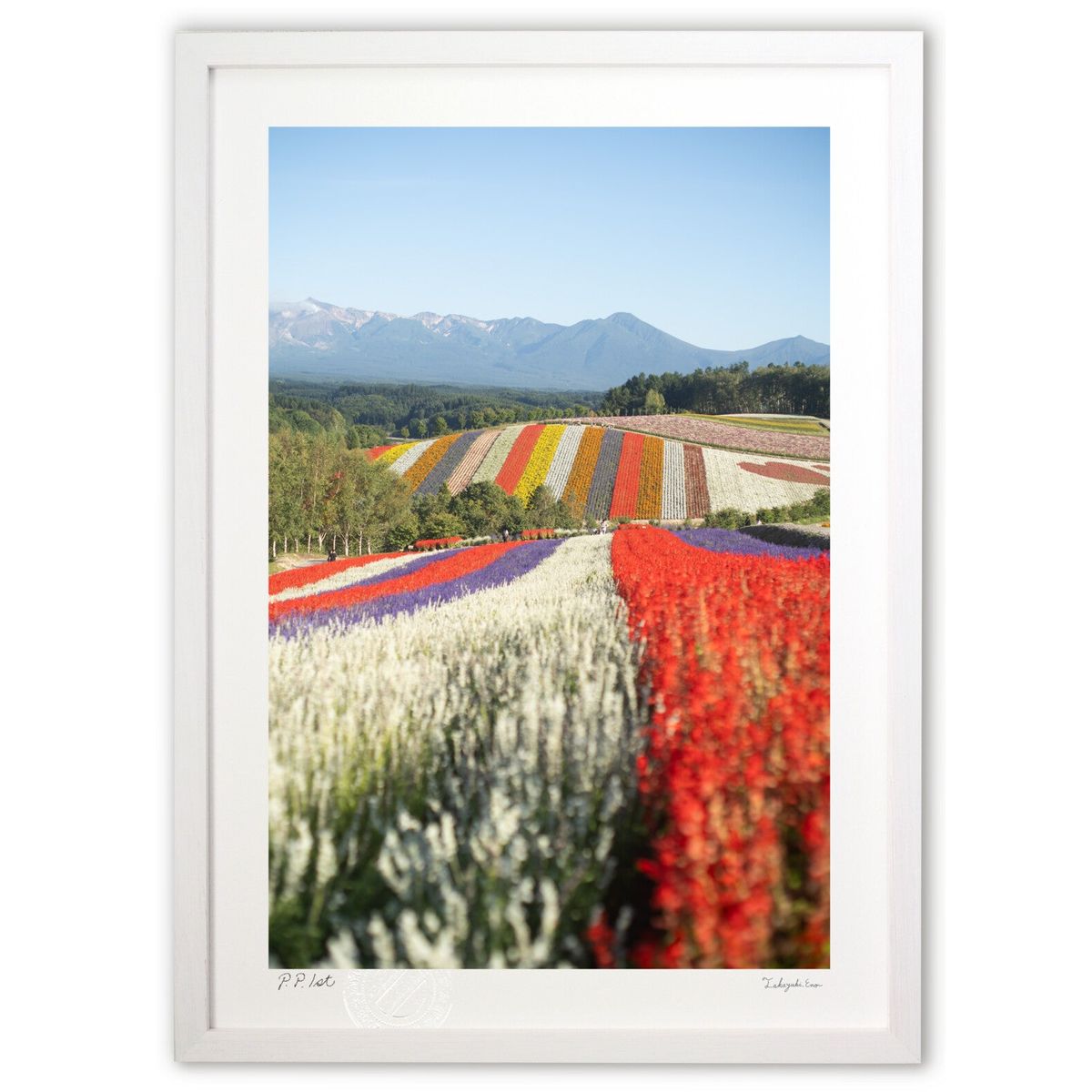 【スーパーSALE半額】版画 四季彩の丘 (岡本 圭司)インテリア 壁掛け 額入り 風景画 ポスター アート リビング 玄関に飾る 風水 プレゼント モダン ア...