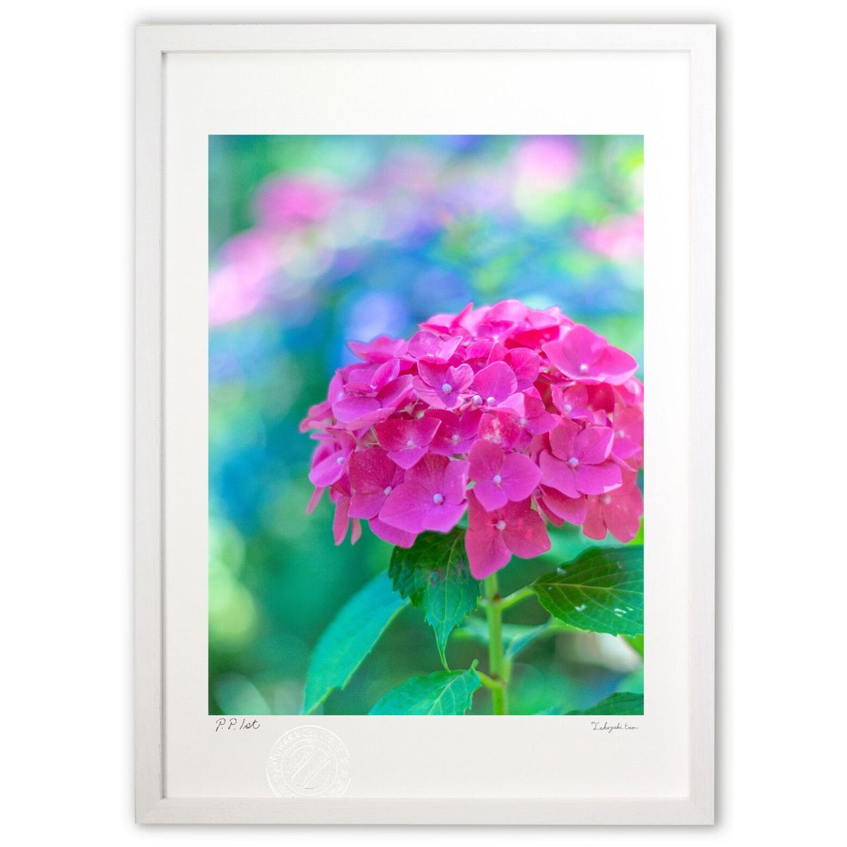 ڥѡSALEȾۡǲ İ餷۲ (crazetaka)ƥꥢ ɳݤ  ʲ ݥ  ӥ ؤ˾  ץ쥼...