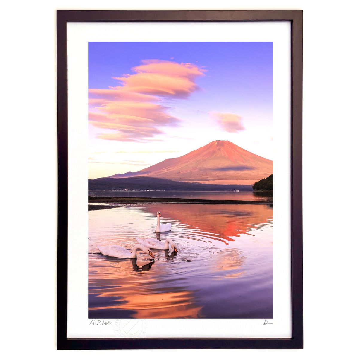 ڥѡSALEȾۡǲ ٻΤĻ (湭)ƥꥢ ɳݤ  ʲ ݥ  ӥ ؤ˾  ץ쥼  ...