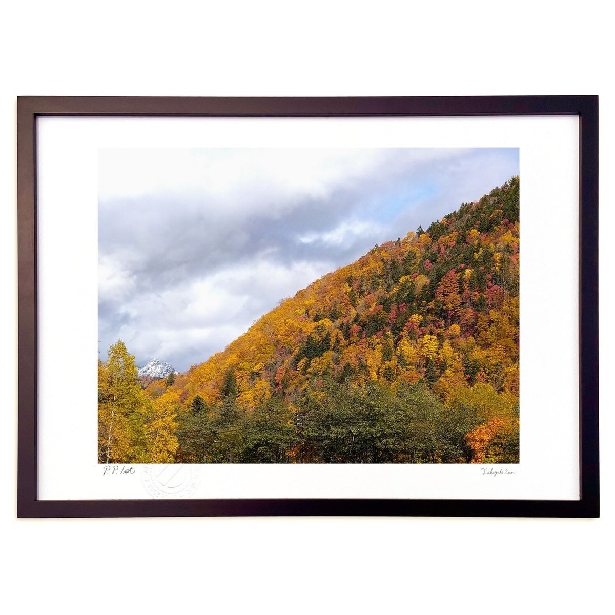 ڥѡSALEȾۡǲ ˭ʿ (ΡХ˥)ƥꥢ ɳݤ  ʲ ݥ  ӥ ؤ˾  ץ쥼  ...