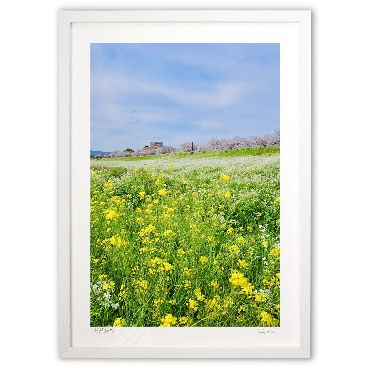 ڥѡSALEȾۡǲ ߤν (mitan)ƥꥢ ɳݤ  ʲ ݥ  ӥ ؤ˾  ץ쥼  ...