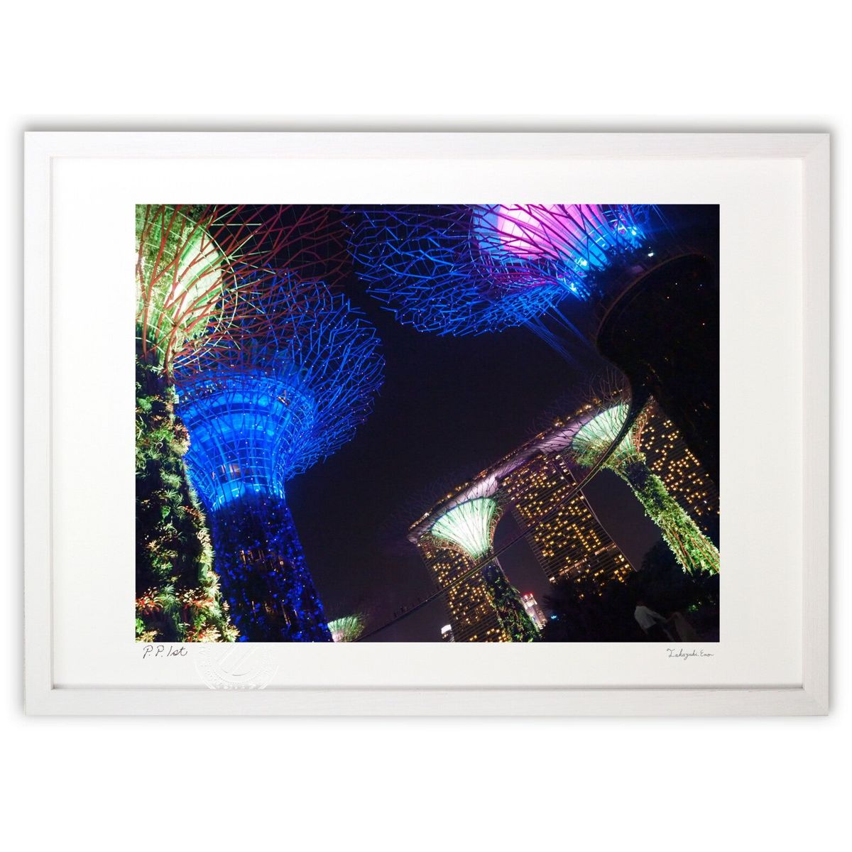 ڥѡSALEȾۡǲ ʪ (Rozemary)ƥꥢ ɳݤ  ʲ ݥ  ӥ ؤ˾  ץ쥼 ...