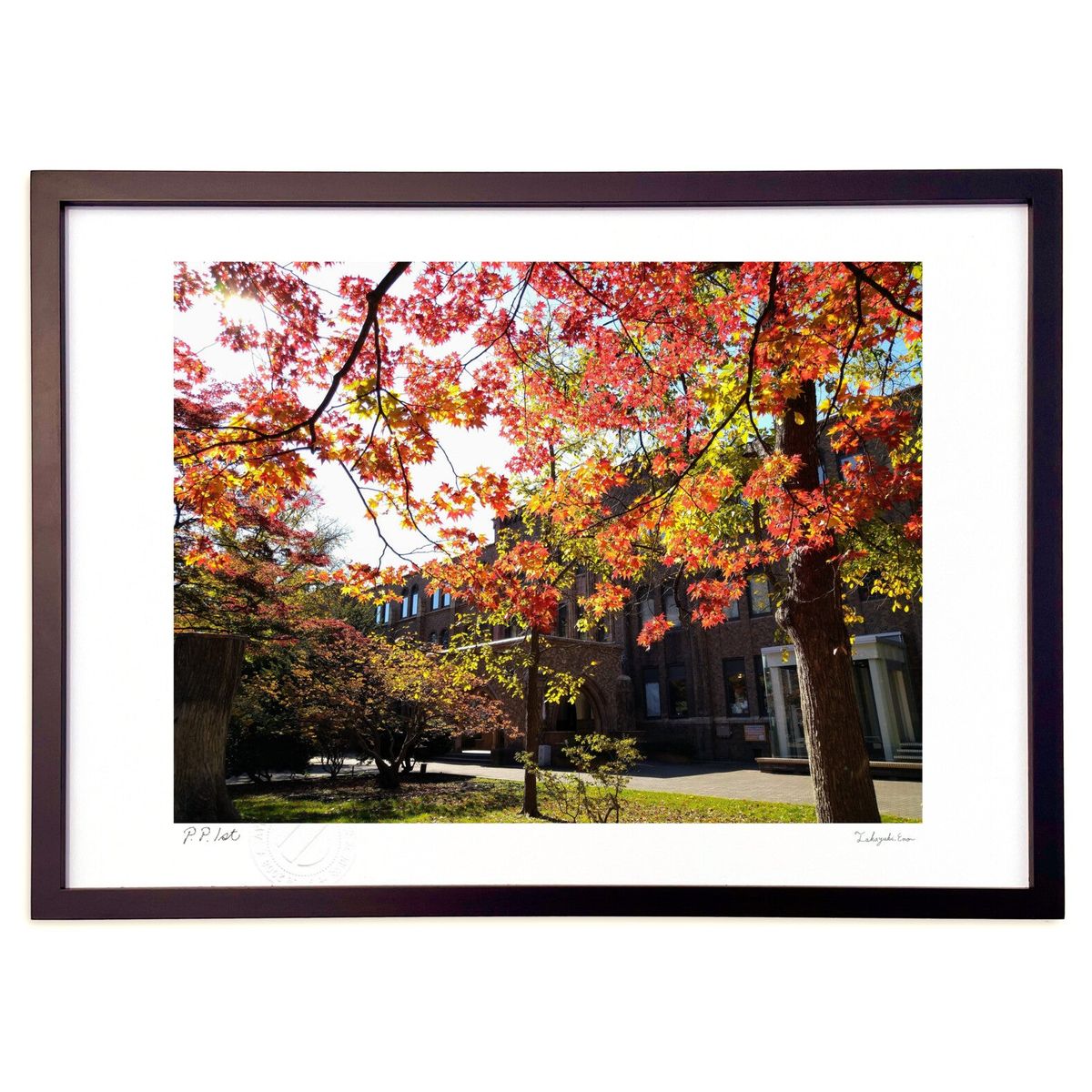 ڥѡSALEȾۡǲ  (ΡХ˥)ƥꥢ ɳݤ  ʲ ݥ  ӥ ؤ˾  ץ쥼  ...