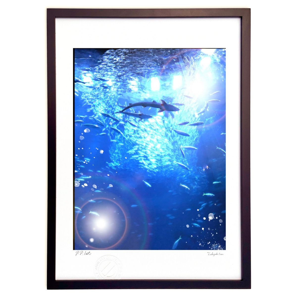 ڥѡSALEȾۡǲ γ (Τ)ƥꥢ ɳݤ  ʲ ݥ  ӥ ؤ˾  ץ쥼  ȥ...