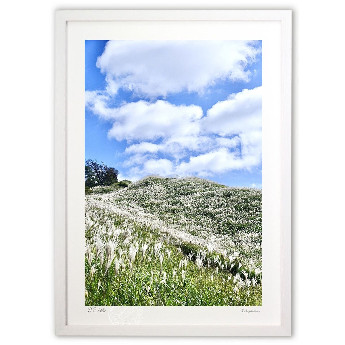 ڥѡSALEȾۡǲ  (mitan)ƥꥢ ɳݤ  ʲ ݥ  ӥ ؤ˾  ץ쥼  ...