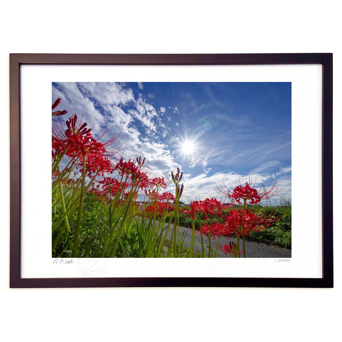 ڥѡSALEȾۡǲ ߲ (I.ISHIGAMI)ƥꥢ ɳݤ  ʲ ݥ  ӥ ؤ˾  ץ쥼 ...