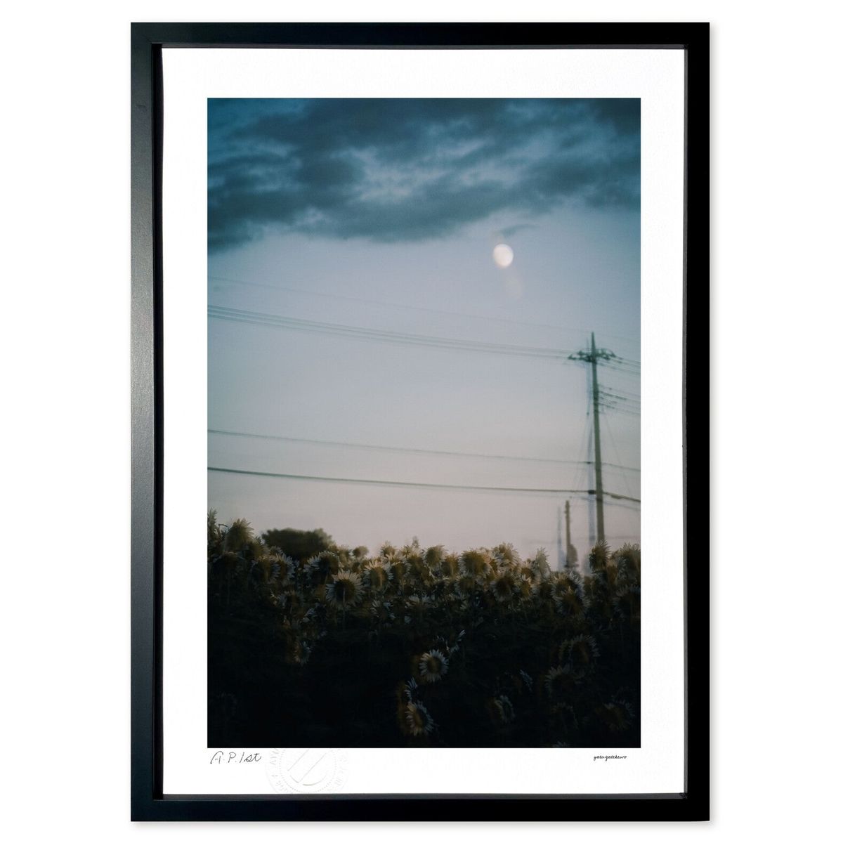 ڥѡSALEȾۡǲ  (ۤٵ)ƥꥢ ɳݤ  ʲ ݥ  ӥ ؤ˾  ץ쥼  ...