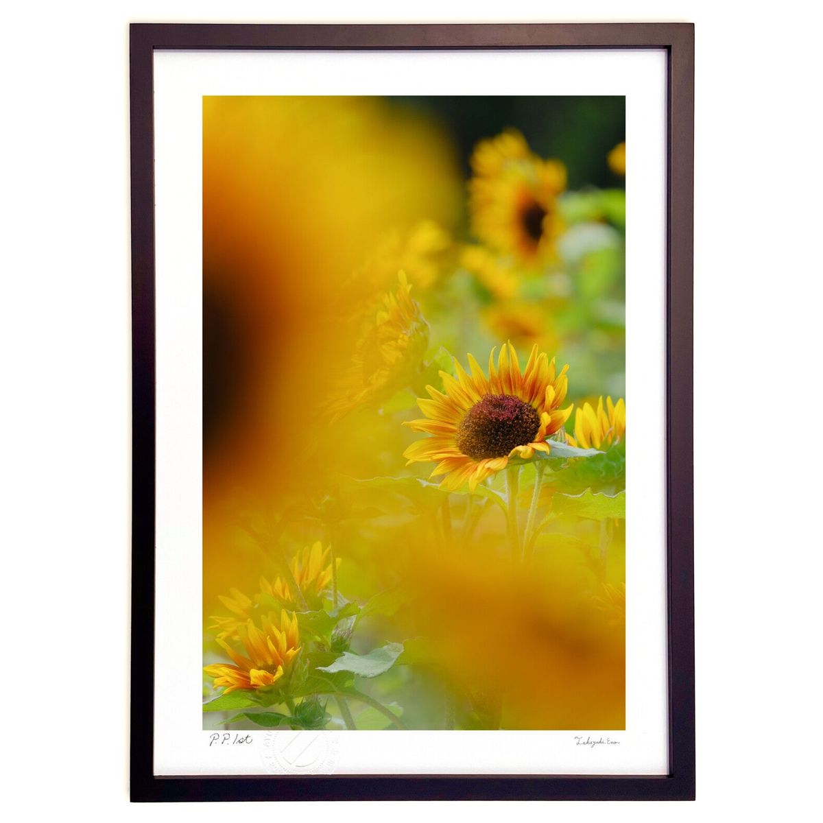 ڥѡSALEȾۡǲ åɥХ顼 (ɼ)ƥꥢ ɳݤ  ʲ ݥ  ӥ ؤ˾  ץ쥼  ...