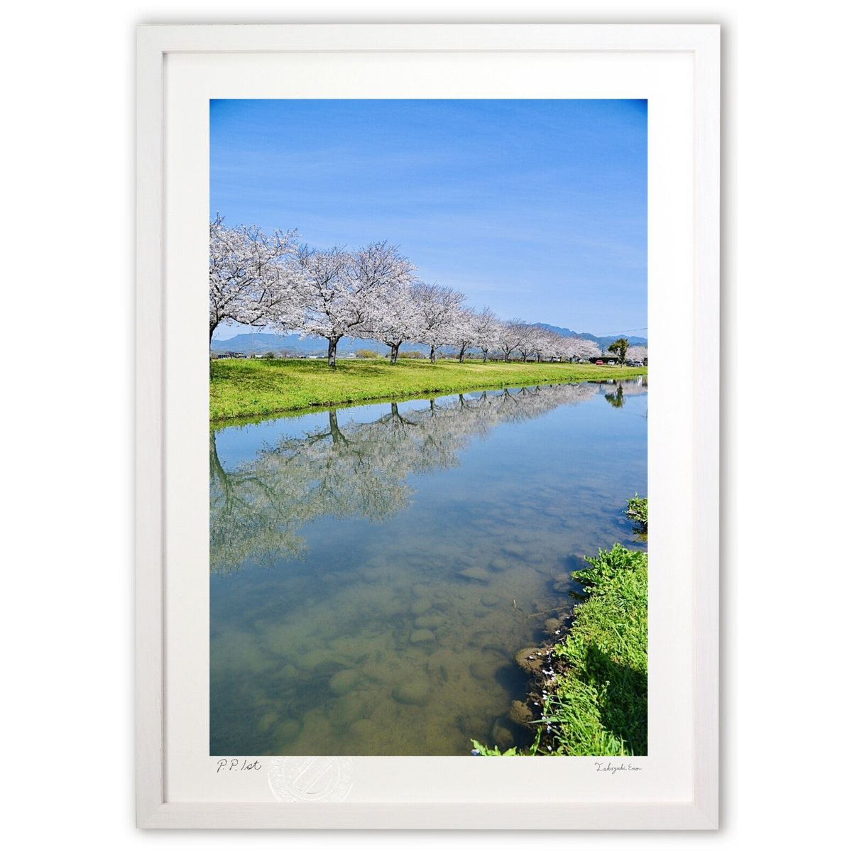 【スーパーSALE半額】版画 水鏡の桜並木 (mitan)インテリア 壁掛け 額入り 風景画 ポスター アート リビング 玄関に飾る 風水 プレゼント モダン ...