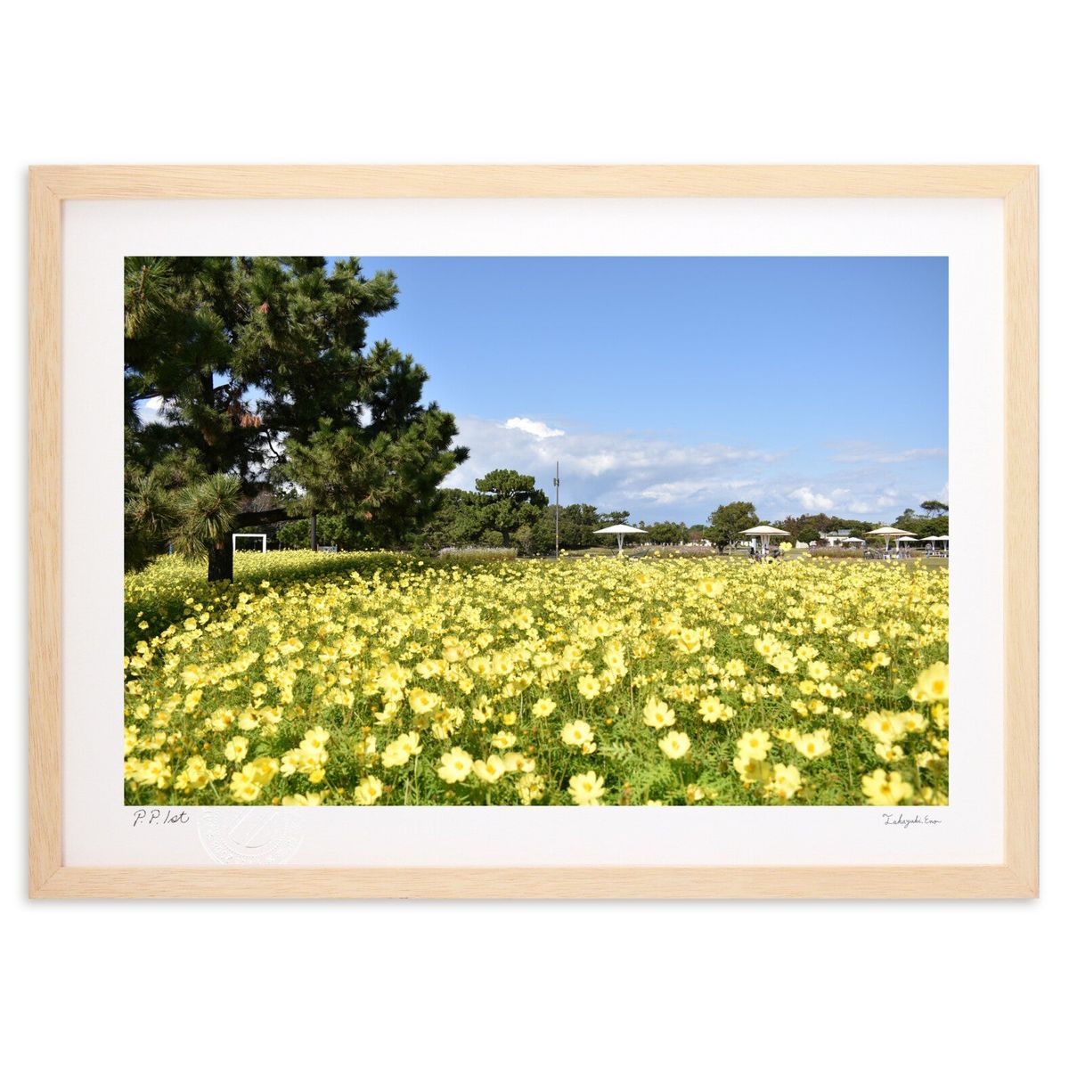 ڥѡSALEȾۡǲ ̿Хʥ⥹ (޻)ƥꥢ ɳݤ  ʲ ݥ  ӥ ؤ˾  ץ쥼 ...