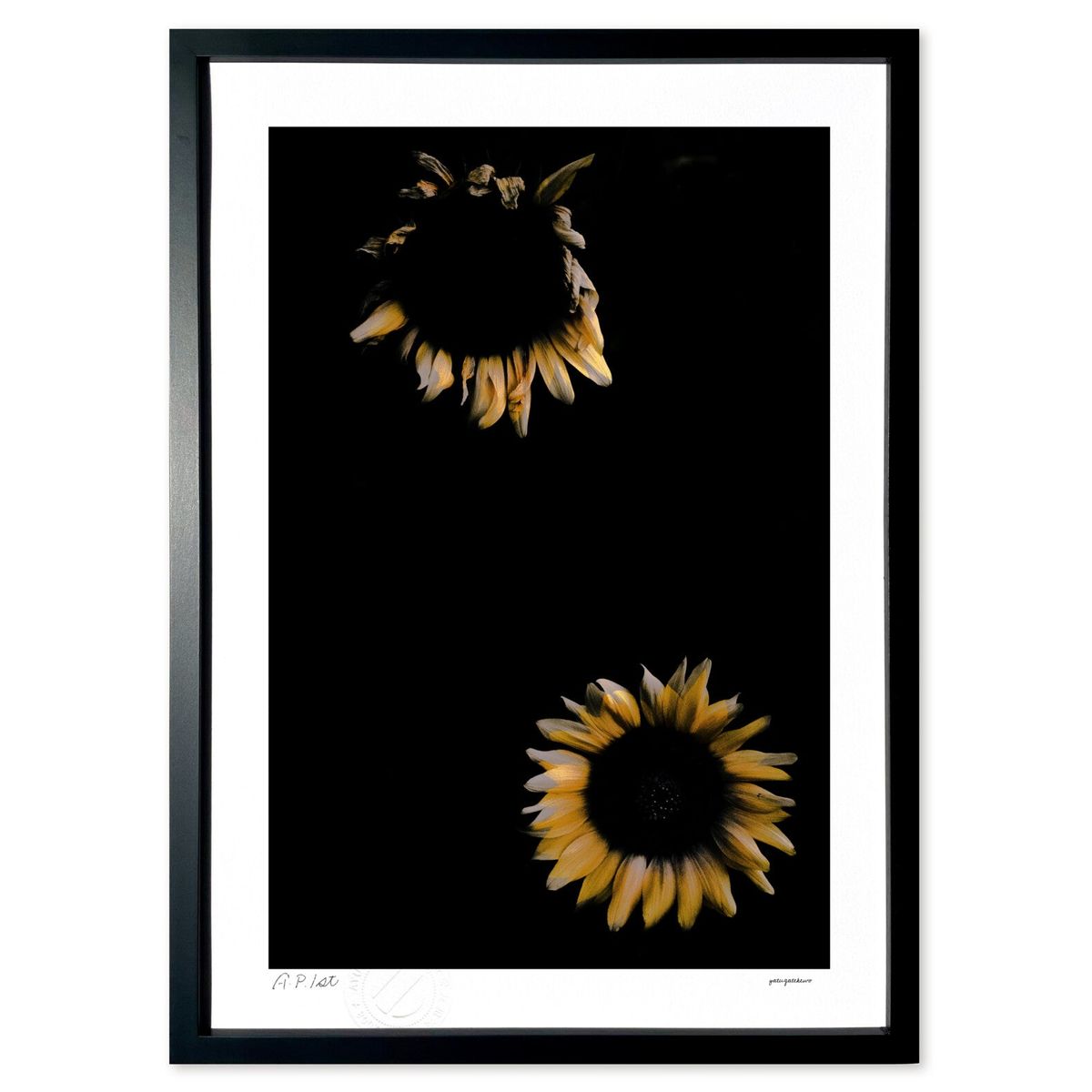 ڥѡSALEȾۡǲ ⤫ָΤ褦 (ۤٵ)ƥꥢ ɳݤ  ʲ ݥ  ӥ ؤ˾  ץ쥼 ...