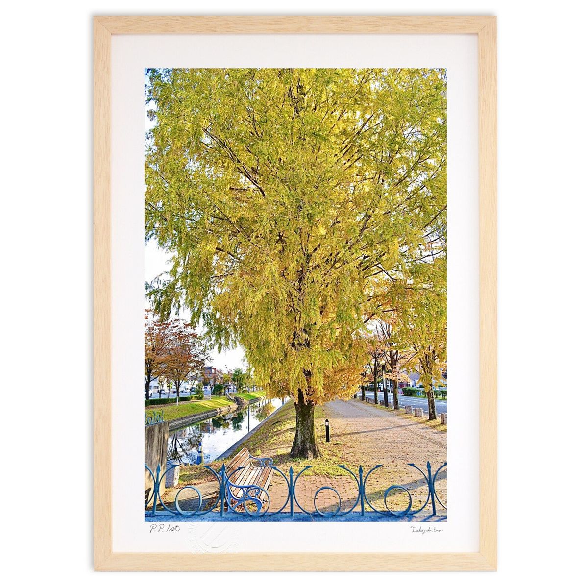 【スーパーSALE半額】版画 メタセコイア (mitan)インテリア 壁掛け 額入り 風景画 ポスター アート リビング 玄関に飾る 風水 プレゼント モダン ...