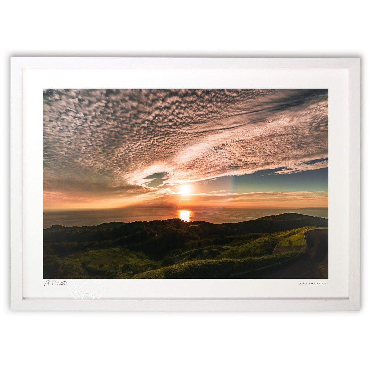 ڥѡSALEȾۡǲ ͼ (bluewoods07)ƥꥢ ɳݤ  ʲ ݥ  ӥ ؤ˾  ץ쥼...