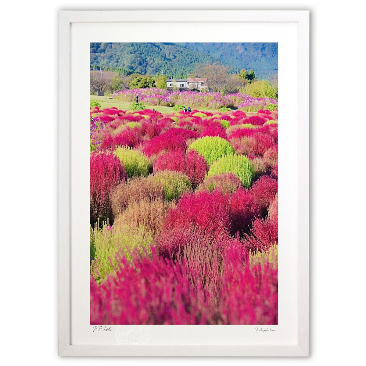 ڥѡSALEȾۡǲ ֤ʥФΥ (mitan)ƥꥢ ɳݤ  ʲ ݥ  ӥ ؤ˾  ץ쥼...