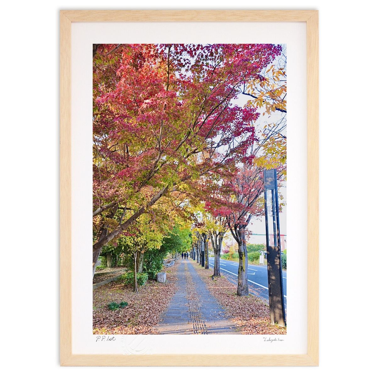 ڥѡSALEȾۡǲ դγϩ (mitan)ƥꥢ ɳݤ  ʲ ݥ  ӥ ؤ˾  ץ쥼  ...