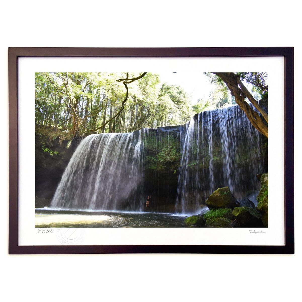 ڥѡSALEȾۡǲ ̿ (޻)ƥꥢ ɳݤ  ʲ ݥ  ӥ ؤ˾  ץ쥼  ...