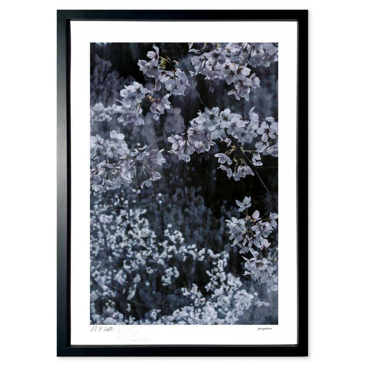 ڥѡSALEȾۡǲ 餭 (ۤٵ)ƥꥢ ɳݤ  ʲ ݥ  ӥ ؤ˾  ץ쥼  ...