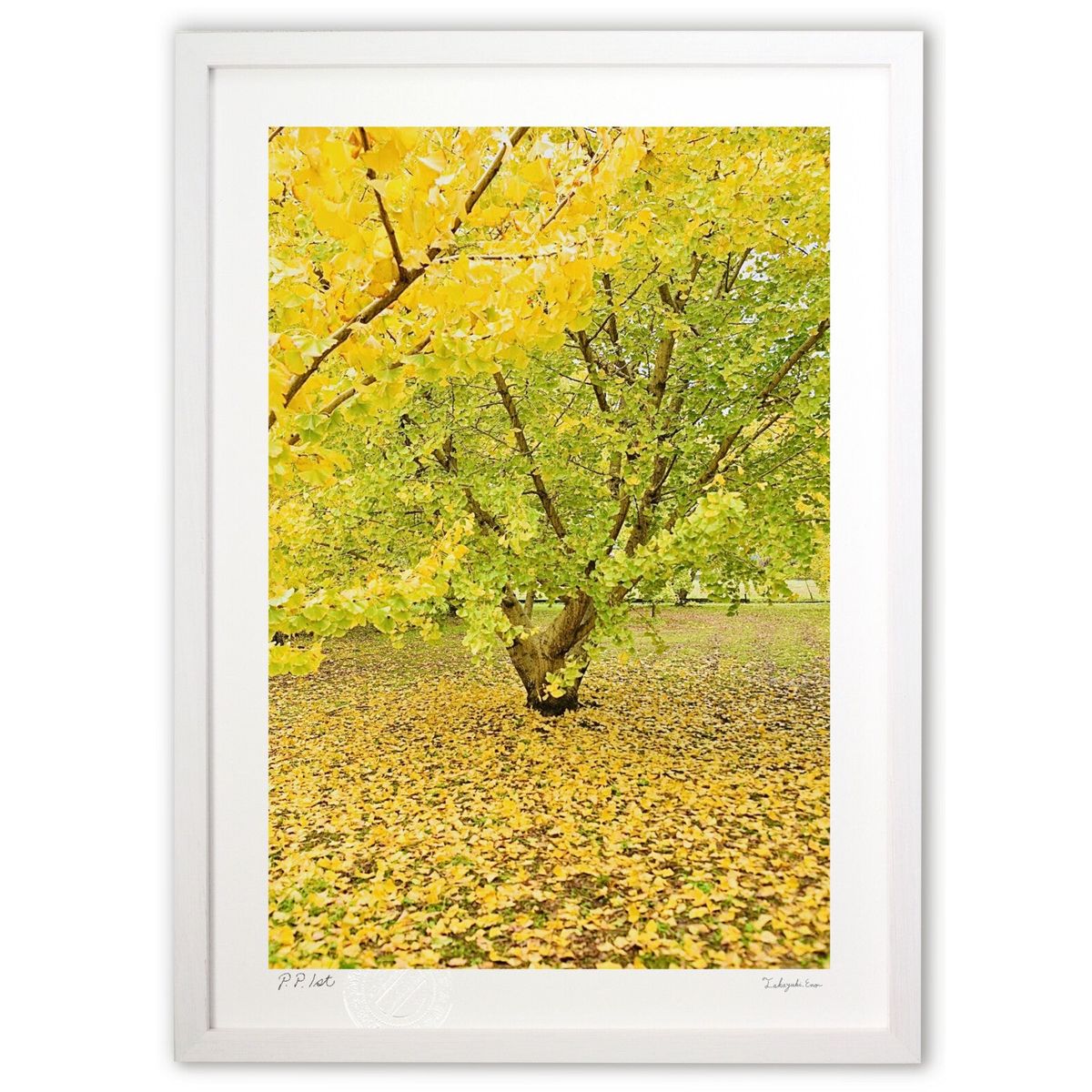 ڥѡSALEȾۡۡںȤκۥġȥ󥫥顼νޤ11ܲȲФʤ&